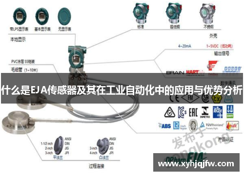 什么是EJA传感器及其在工业自动化中的应用与优势分析